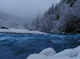 Elwha River in Winter